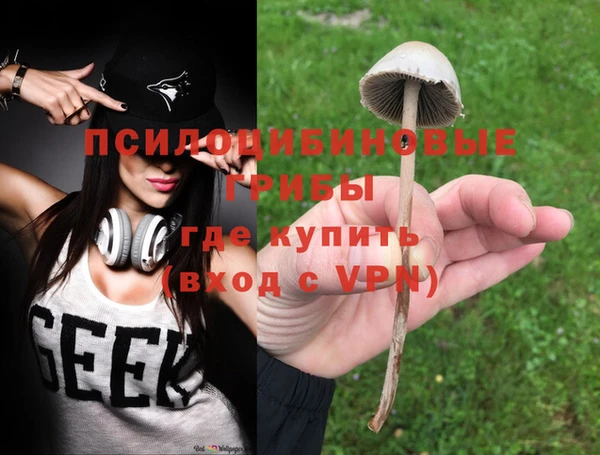 скорость Алексин
