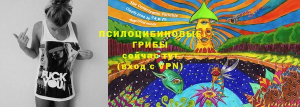 скорость Алексин